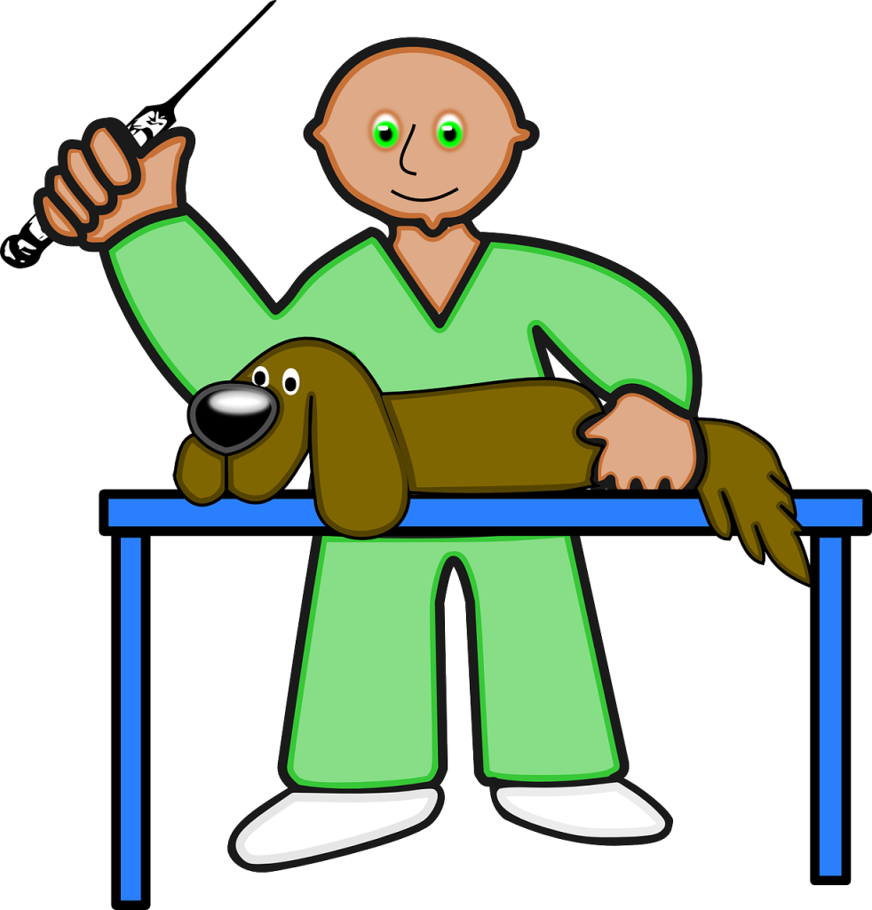 {serviço} para seu pet no bairro Jardim Botânico - SP
